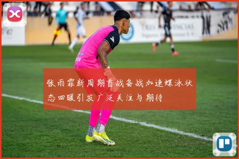 张雨霏新周期首战备战加速蝶泳状态回暖引发广泛关注与期待